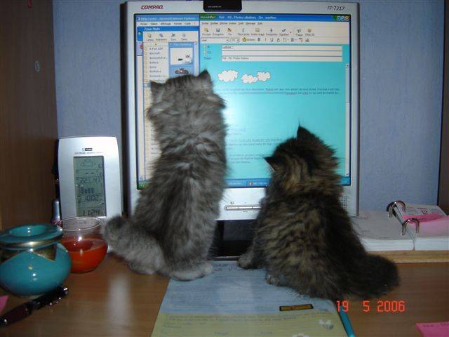 Nous aimons recevoir des mails -
