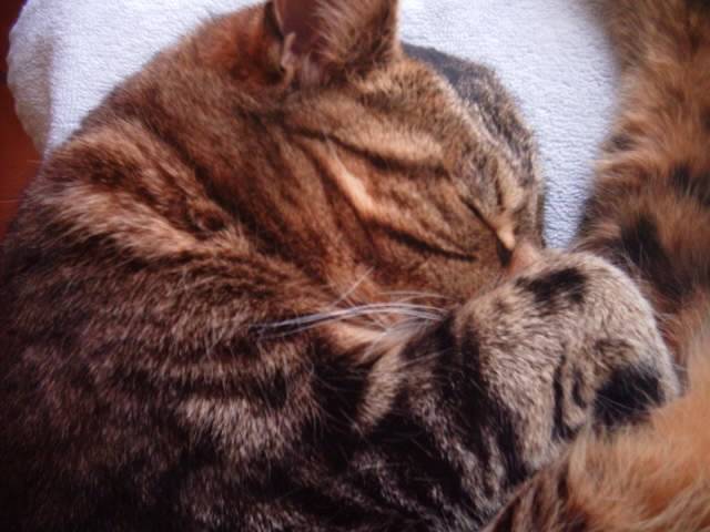 Fifi, mon ptit tchoup !!!!! -