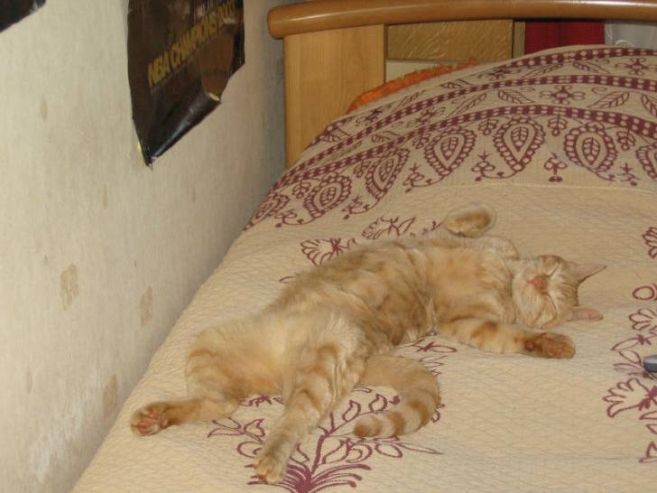 clarky en plein effort -