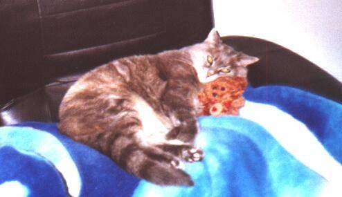 Daisy -