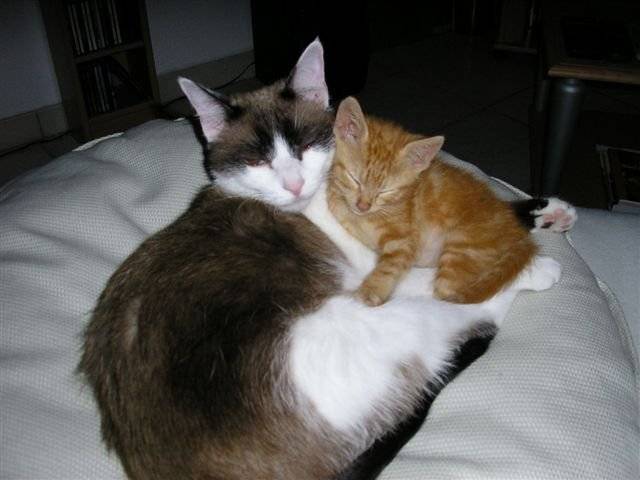 caly et Quinoa -