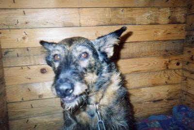 Sheyrone -