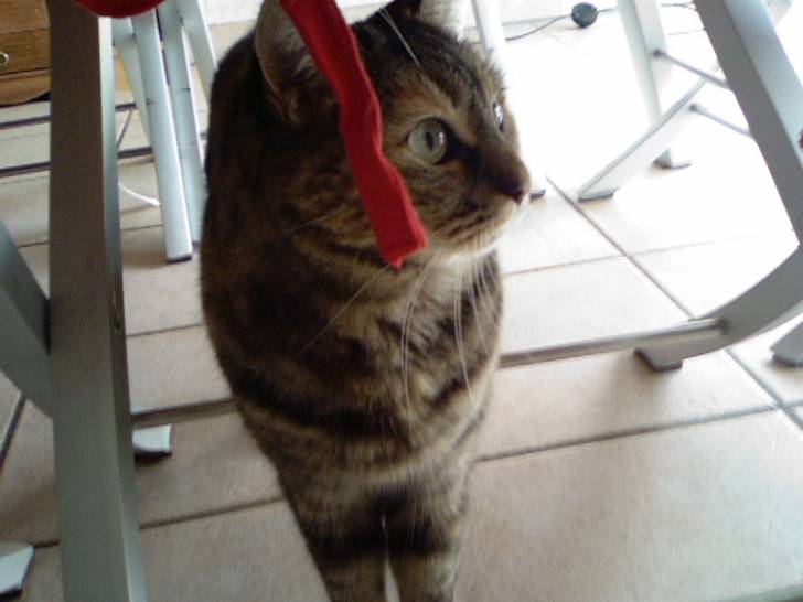 baguy 6 ans - (6 ans)