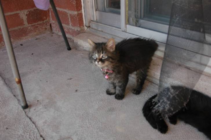 Bianca sur le balcon -