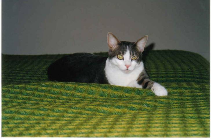 Léo pose -