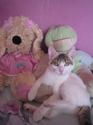 Blanche -