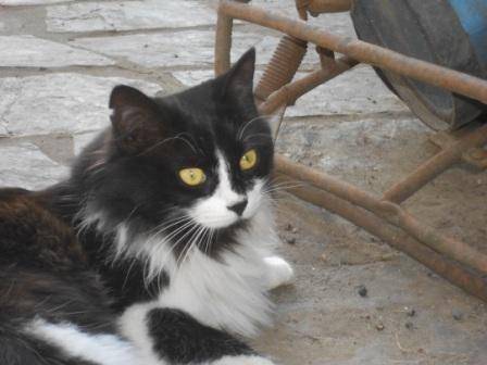 La boule - (1 an)