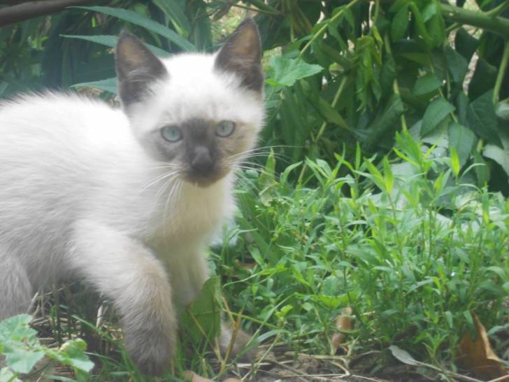 Farine - (2 mois)