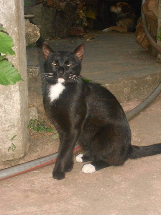 bille - (2 ans)