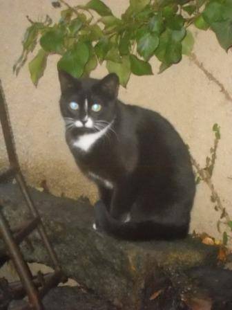 Crapouille - (2 ans)