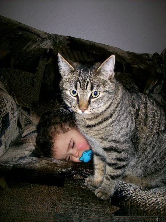 Rosabelle - (7 ans)