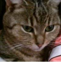 Guigui - (2 ans)