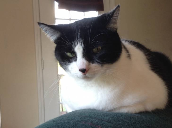 Leela - (9 ans)