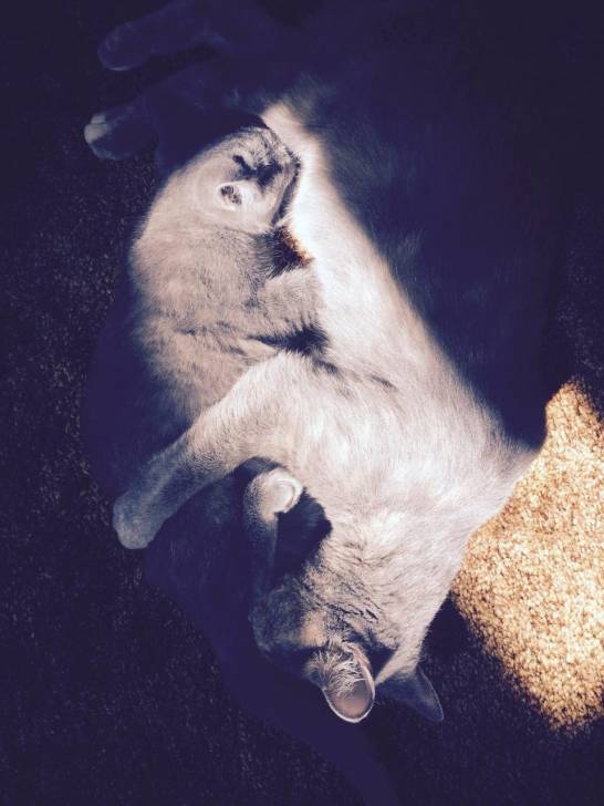 Zoee and Piper -