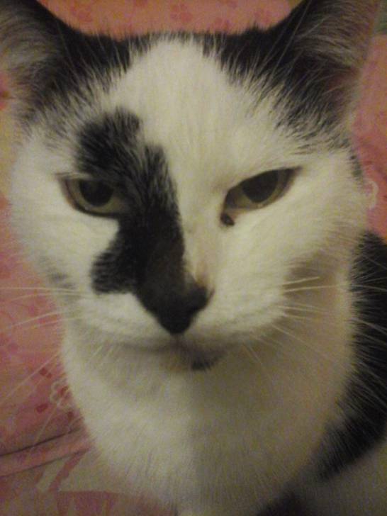 Mimine - (13 ans)