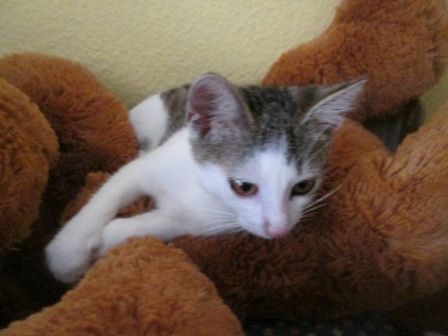 So cute - (2 mois)