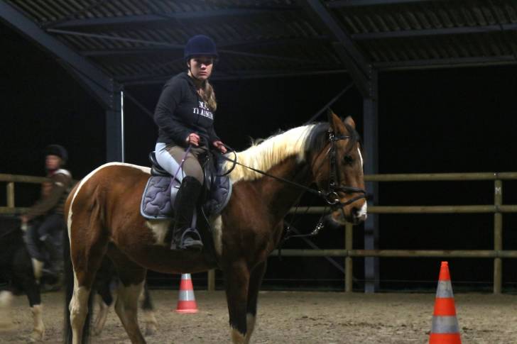 CHAMPION - Mâle (6 ans)
