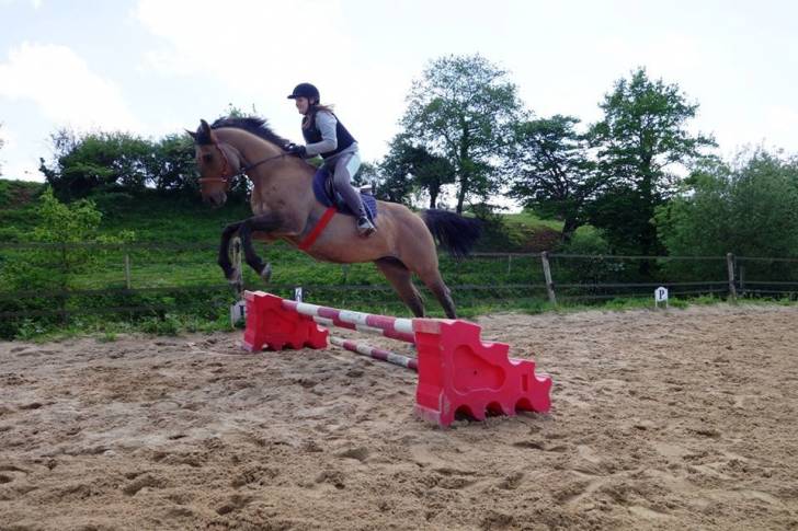 sunny - Mâle (3 ans)