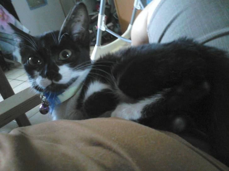 Frimousse - (4 mois)