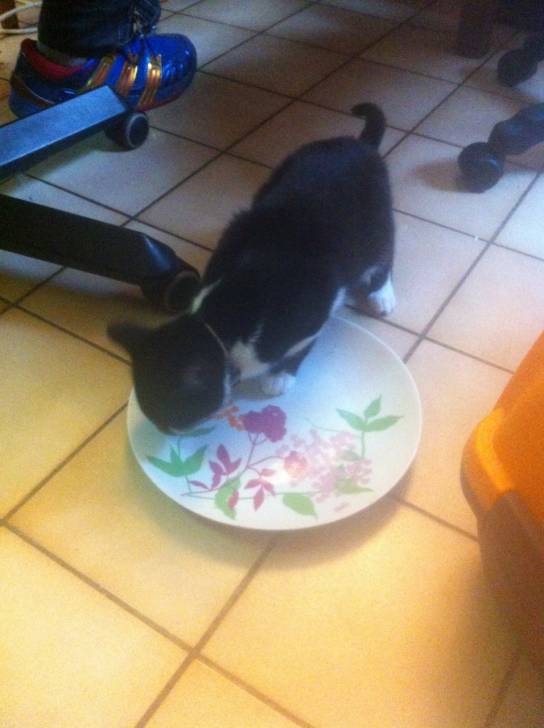 Frimousse - (7 mois)