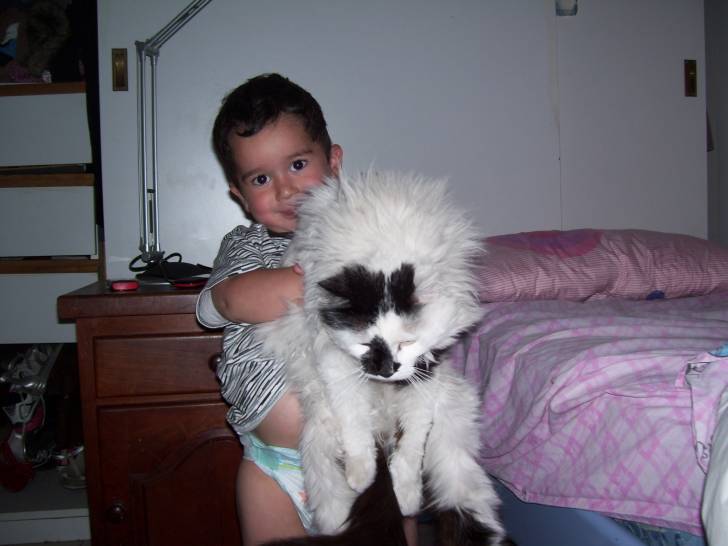 Tony - Mâle (3 ans)