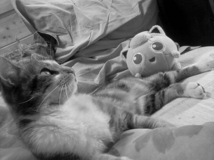 Myrtille - (5 ans)