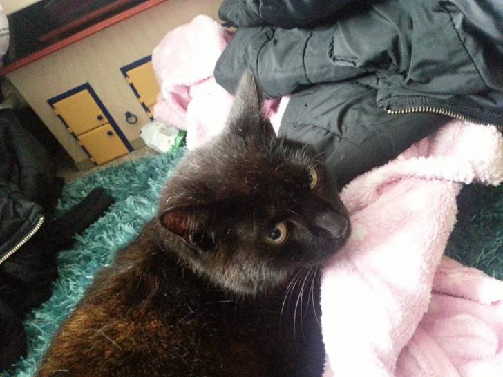 Chloe - (12 ans)
