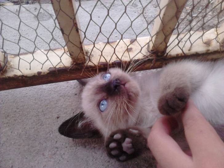 Kai - (2 mois)