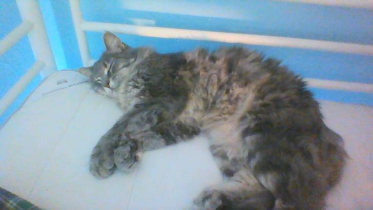 Precious - (2 ans)