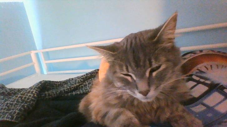 Precious - (2 ans)