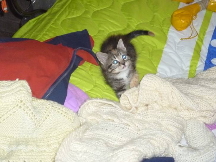 mia - (4 mois)