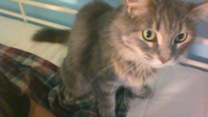 Precious - (3 mois)