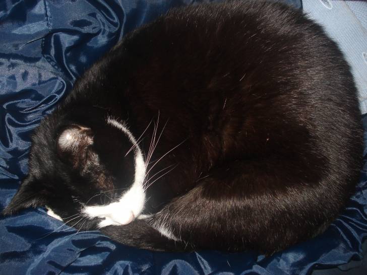 Betty - (8 ans)