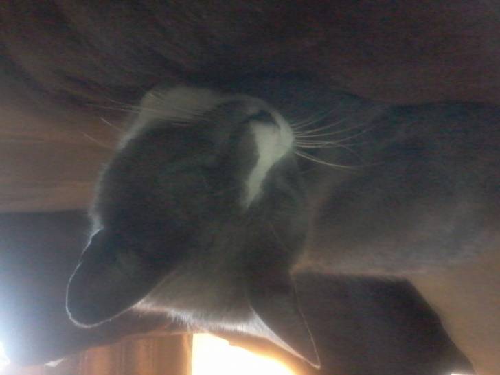 Stubby - (7 ans)