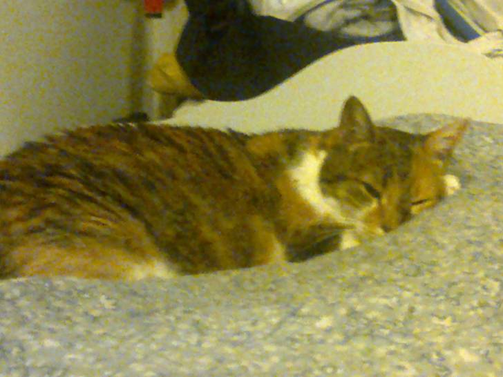 Cleopatra - (12 ans)