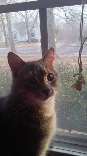 Noki - (2 ans)