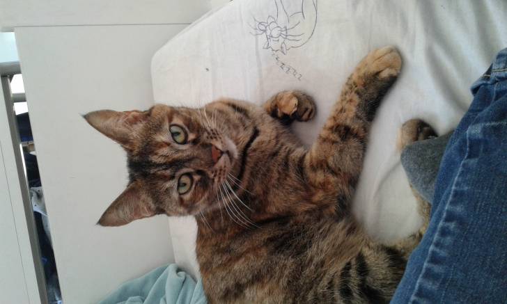 Ma cheri - (13 ans)