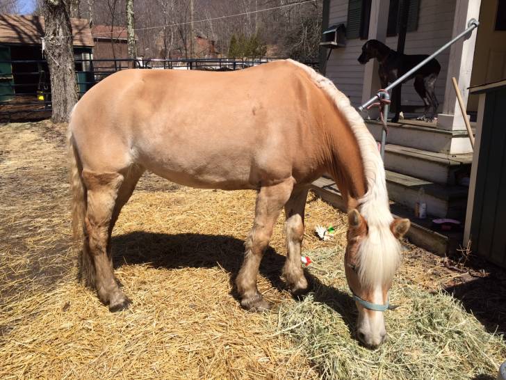 Winning in California "Winnie" - (14 ans)