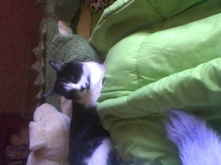 Loukoum - (6 ans)
