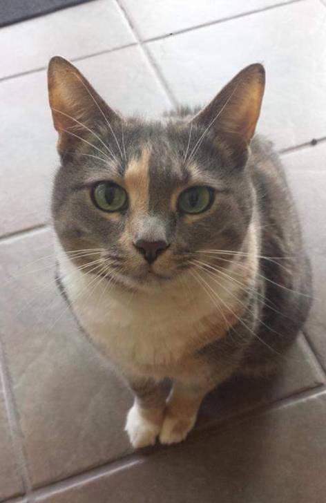 Chloe - (10 ans)