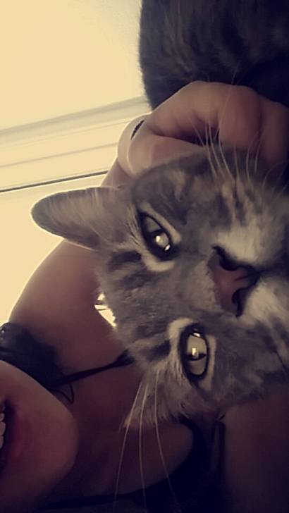 Marley - Mâle (2 ans)