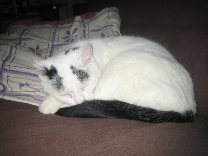 Neige - (13 ans)