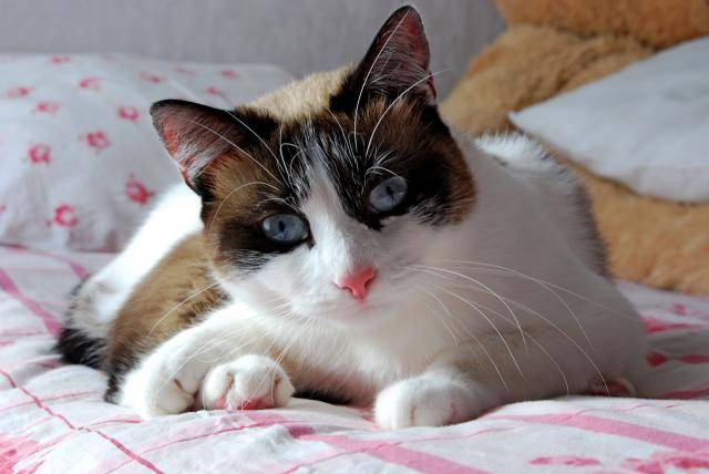 Luna mon tit'ange de 2ans -