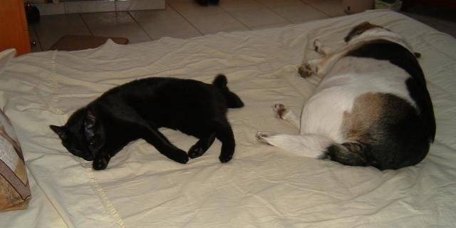 kim et oscar -