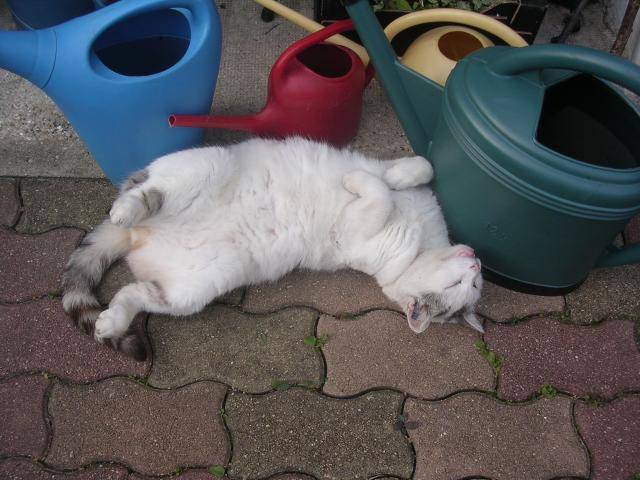 DSCN2942.JPG -