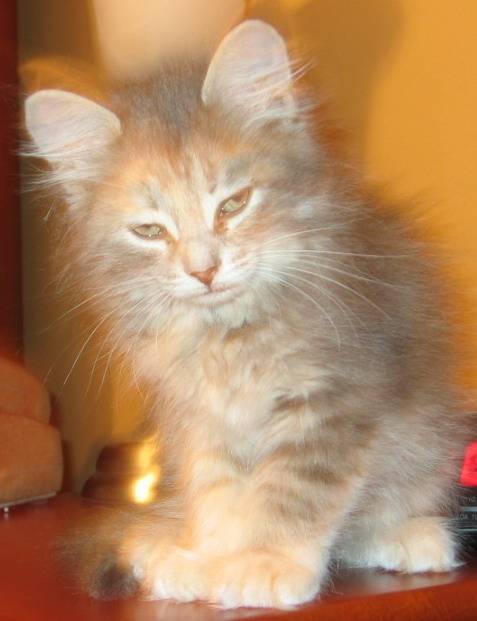 Maggy -