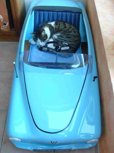 virus en voiture -