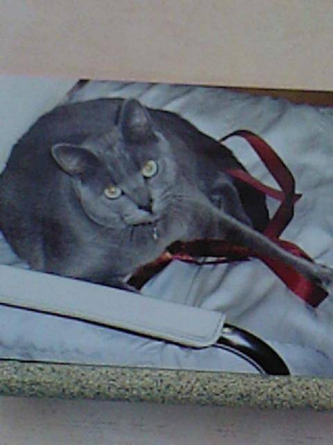 Titou.jpg -