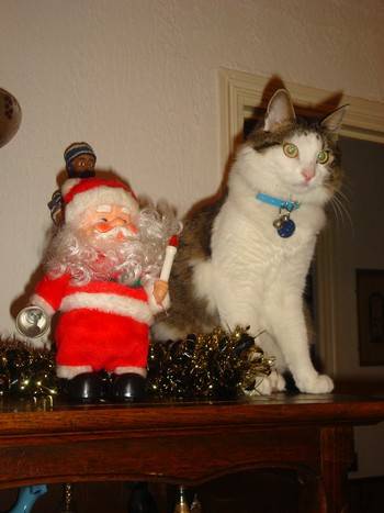 VOYOU attend le Père Noël -
