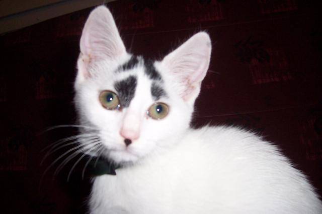 ma grosse -